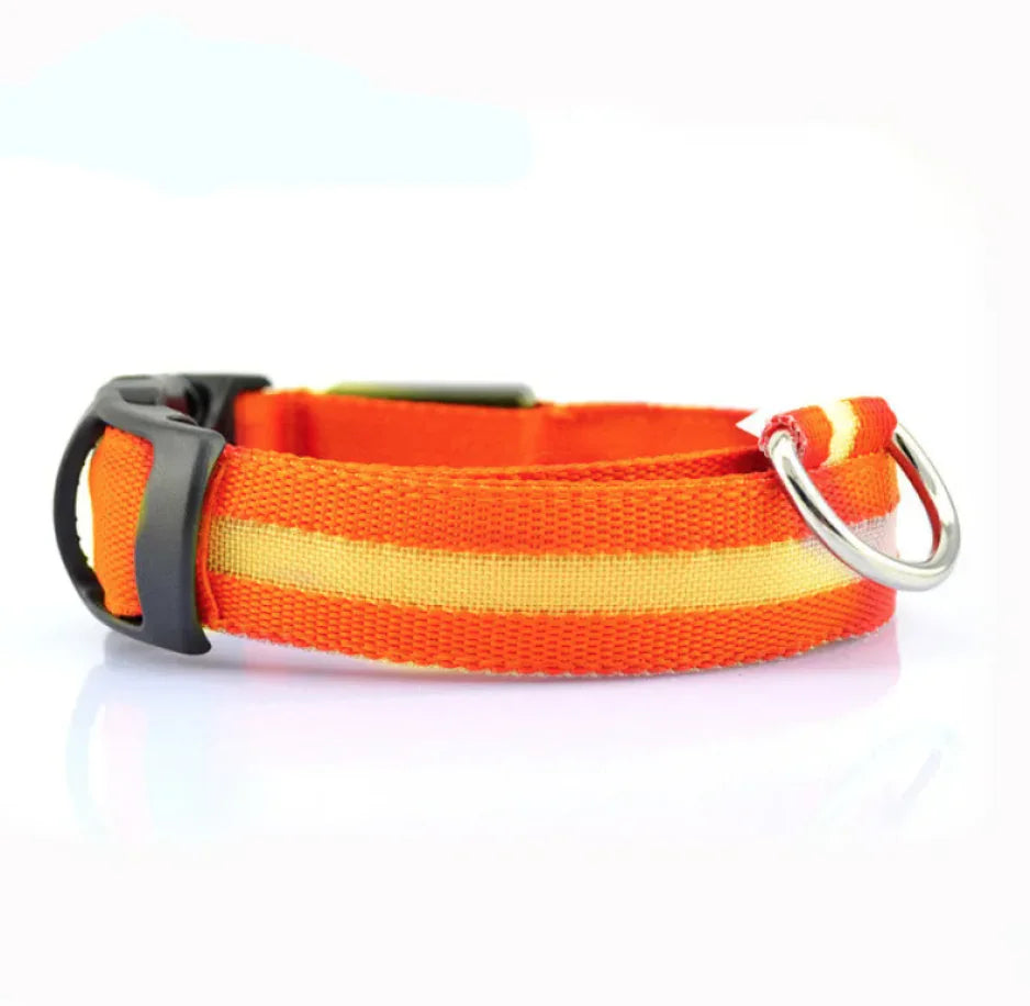 Glow LED Safety Collar