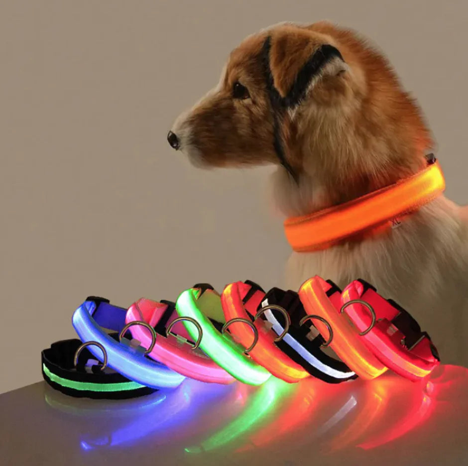 Glow LED Safety Collar