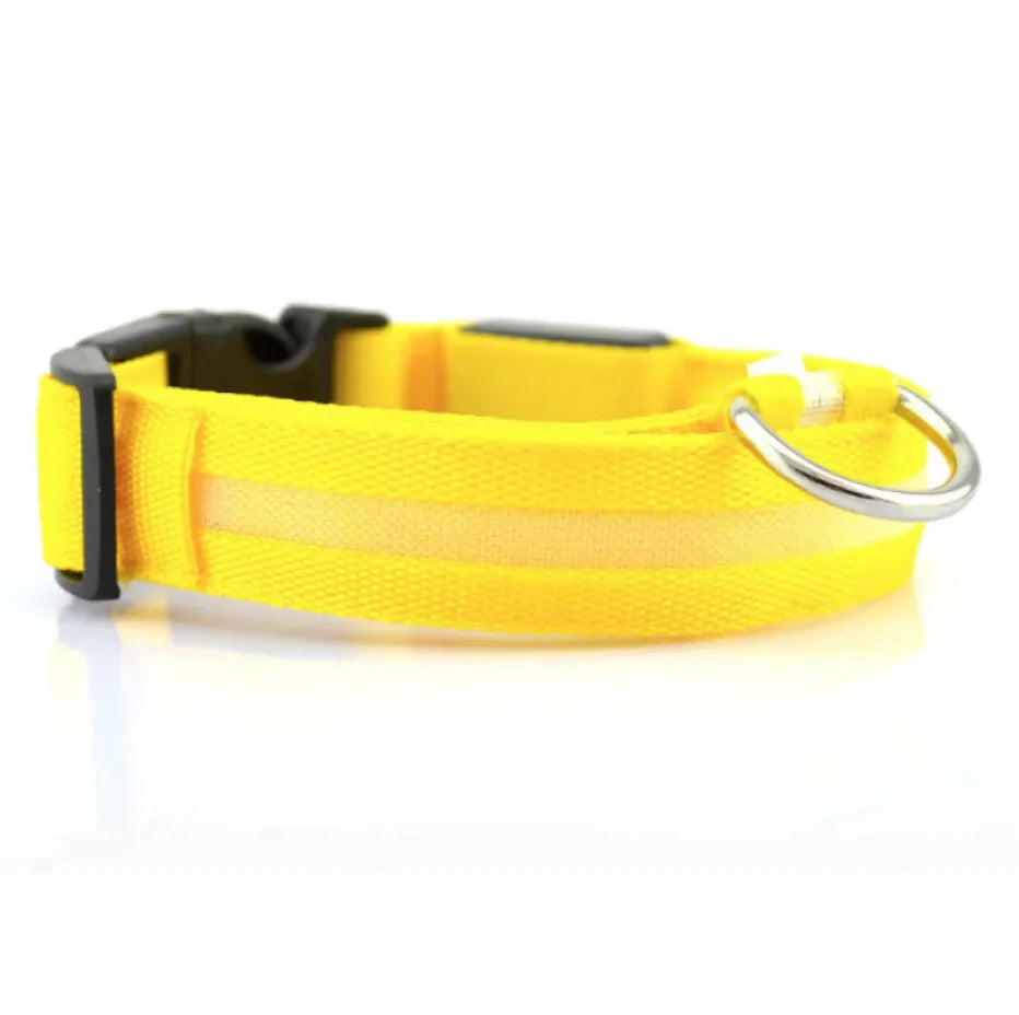 Glow LED Safety Collar