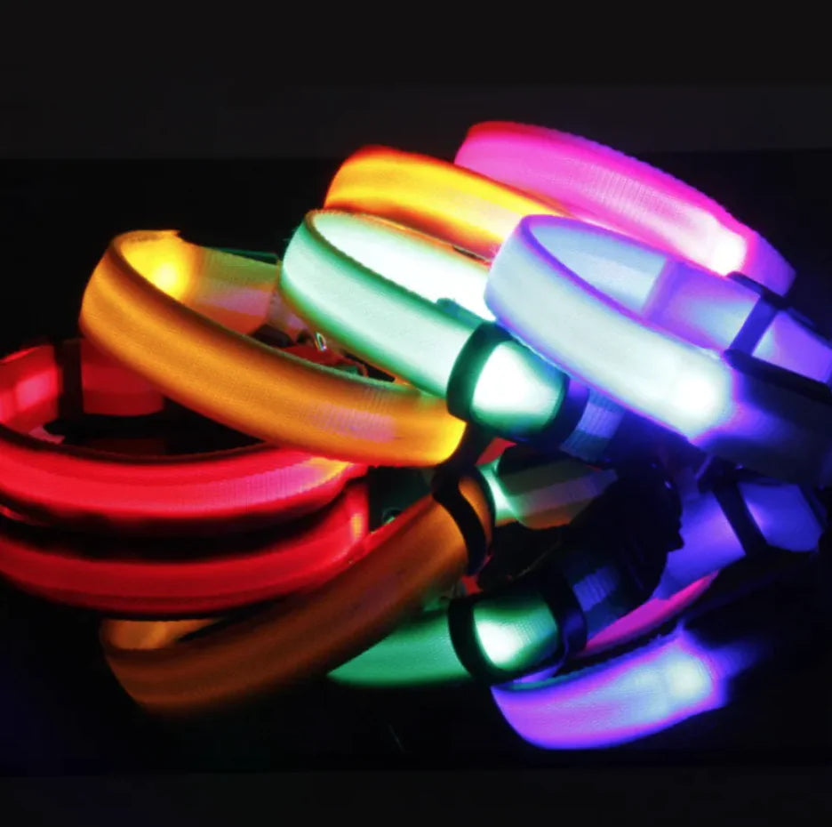 Glow LED Safety Collar