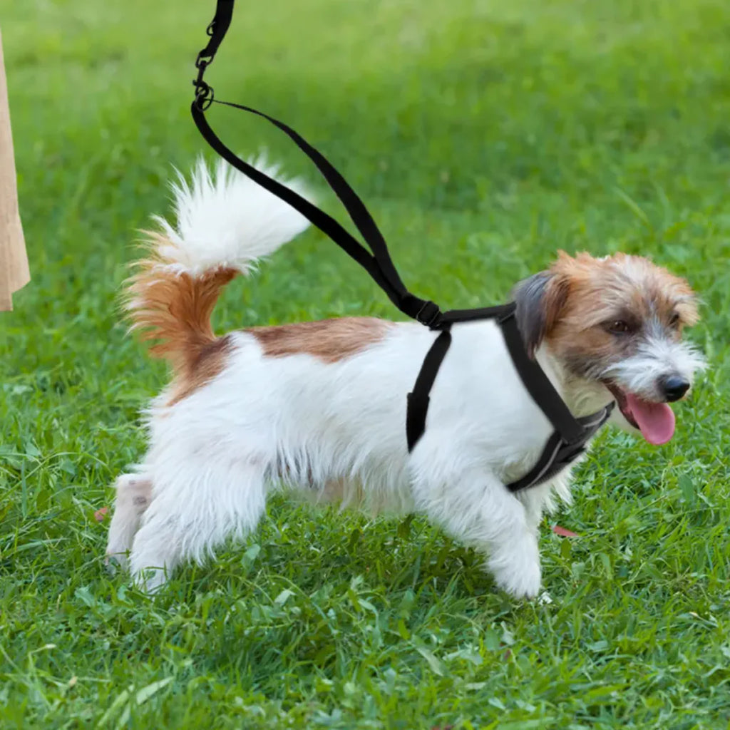 Reflective No-Pull Dog Harness