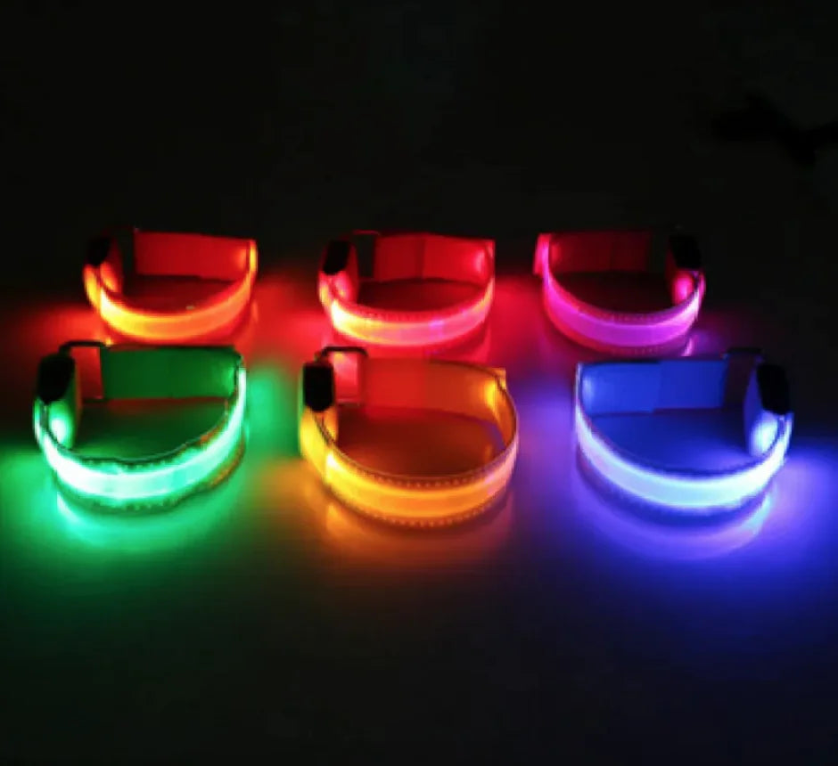 Glow LED Safety Collar