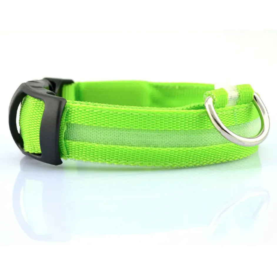 Glow LED Safety Collar